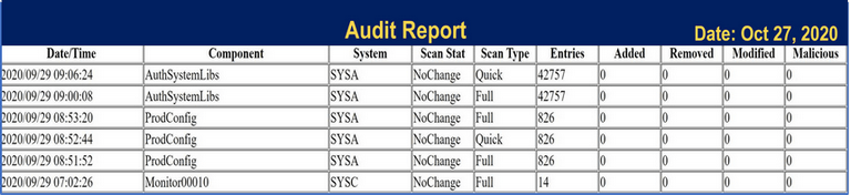 PCI Report Example